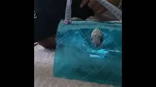 KURT GEIGER TRANSPARENT BAG REVIEW