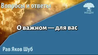 Zoom-уроки Толдот.ру