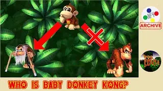 Baby Donkey Kong's Identity and the Failings of the DK Wiki | That's NOT the Lore!!
