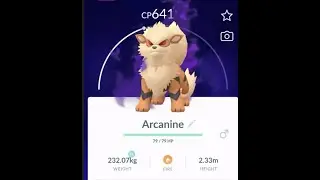 Shadow Arcanine