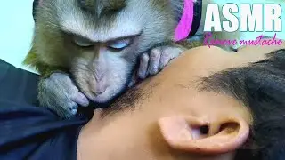 Priceless Grooming Neck Hair!  Dr. Bela the Great!! Truth Confident