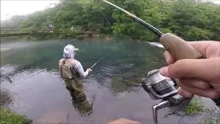 Maramec Spring Park Trout Fishing