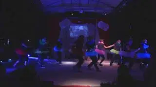 BOUNCE CIRCUS 2018 - Orsi nel Circo - Boogie woogie