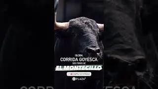 LAS VENTAS 2024 -Corrida Goyesca | Toros El Montecillo para Roble&ntilde;o, Javier Cortes y Fco Jos&eacute; Espada