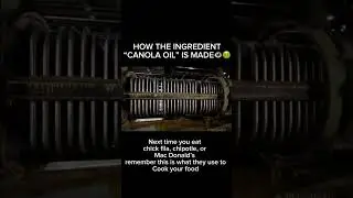 How Canola Oil is made