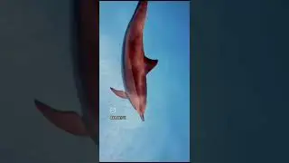 #youtubeshorts #viral #fishing fishing&nbsp;,&nbsp;&nbsp;fishing king&nbsp;,&nbsp;&nbsp;fisher&nbsp;,&nbsp;&nbsp;fishy on me&nbsp;,&nbsp;&nbsp;fisher