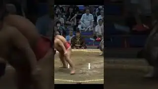 Симаноуми против Набатаме Нагоя Басё 2024 #сумо #wrestling #duel #japan #япония #sumo #sport