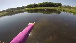 Spinner Fall on Baum Lake, CA - May 29, 2023