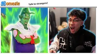 Omegle... But as DRAGON Z BALLS CHARACTERS!