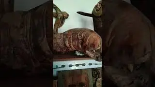 wood art #hunza#gojal#amazing #short #video