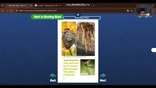What Built This | Razkids Reading | Luyện đọc tiếng Anh cho bé | Khang Pham