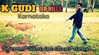 Most beautiful Hill Station K Gudi BR Hills| Chamarajanagara |Karnataka