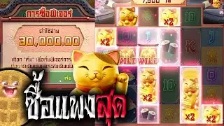 Lucky Neko ♛ PG ลัคกี้เนโกะแมวเวรสู้กันอย่างยาวนาน