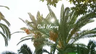 Club Marvy | Art & Abundance Weekend