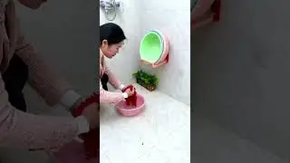 Smart Appliances! 😍 New Viral Gadgets, Home, Items #shorts