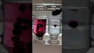 Metals in Water? 🫐💧