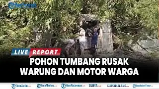 🔴 WASPADA ANGIN KENCANG DI 10 KECAMATAN di Blitar, Warung Hingga Sepeda Motor Warga Tertimpa