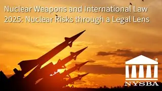 Nuclear Weapons and International Law 2025: Nuclear Risks through a Legal Lens