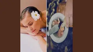 Alluring Moods for Breezy Wellness
