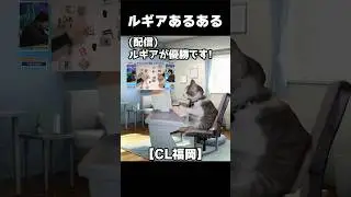 ルギアあるある #猫ミーム #猫マニ #catmemes