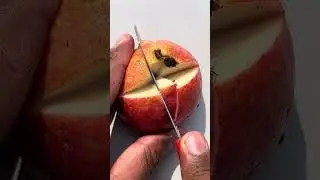 #fruit #cuttingart #fruitart #satisfying #fruitcutting #fruitcarving #vegetableart #fruitsculpture