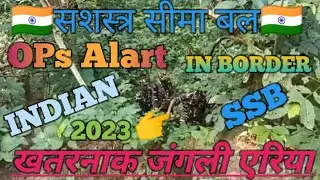 SSB OPS ALERT DRILL` on BORDER || DANGEROUS FOREST AREA ⚔️ DANGER MOVEMENT #ssb #video #ops