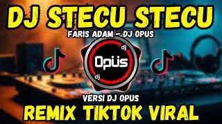 DJ STECU STECU FARIS ADAM 2025