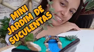 Mini Jardim de SUCULENTAS 