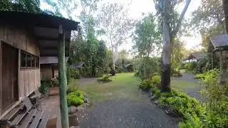 Day 5  Cape Tribulation to Cooktown
