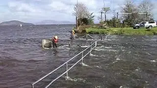 Removal of Ohau Stoplogs