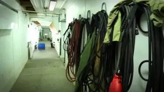 Take a Look Inside a Pig Farm