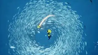 Abzu is beautiful