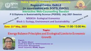 Energy Balance Principles and Ecological Limits to Economic Growth
