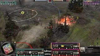 COH2 3v3 Big cats better watch their back