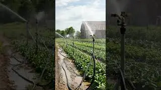 Portable sprinkler irrigation system |GreenAgrix