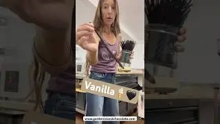 Never throw away vanilla beans🍦🖤- grind them into hot chocolate🍫☕️ or make extract🍸