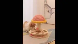 High Grade Solid wood Hot Wheels Pillar | Cat Turntable Toy