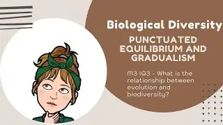 Gradualism and Punctuated Equilibrium