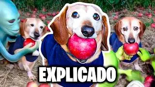C&Atilde;O COM MA&Ccedil;&Atilde; &mdash; DE ONDE VEIO O MEME?