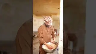 Buffaloes | Usman Virk 777 | Virkfarm777 | Official #shortvideo #punjabi #farming