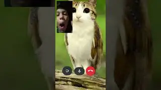 i&rsquo;m trying to play games!￼