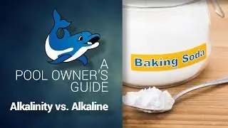 A Pool Owner's Guide: Alkalinity vs. Alkaline