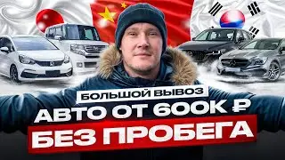 Сколько стоит привезти авто из Японии, Кореи и Китая: бюджет от 600 тыс рублей