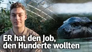 Zwerghippo Toni hat einen neuen &bdquo;Bademeister&ldquo; | Zoo Berlin