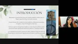 Conversatorio con la Ganadora de Perú del Premio L'Oreal 2025 Dennisse Ruelas Pacheco