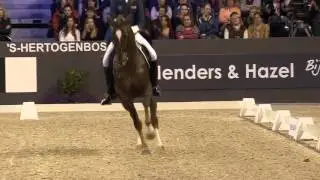 Hans Peter Minderhoud with Glock's Flirt - Dressage Freestyle 's Hertogenbosch 2016