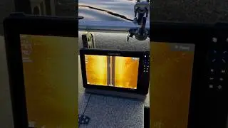Lowrance HDS Live или Garmin GPSmap  &laquo;боковые лучи&raquo; Что круче???? #fishing #рыбалка