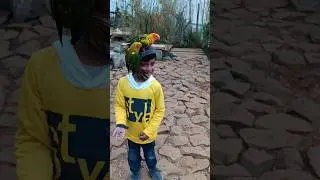 sun conure bright yellow with Ryan #enjoy #birds