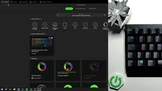 How to Set RGB Lighting Effects on BlackWidow V3 Mini