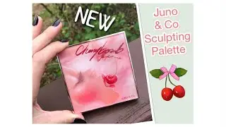 NEW Juno & Co Sculpting Palette - I'M OBSESSED!!!!